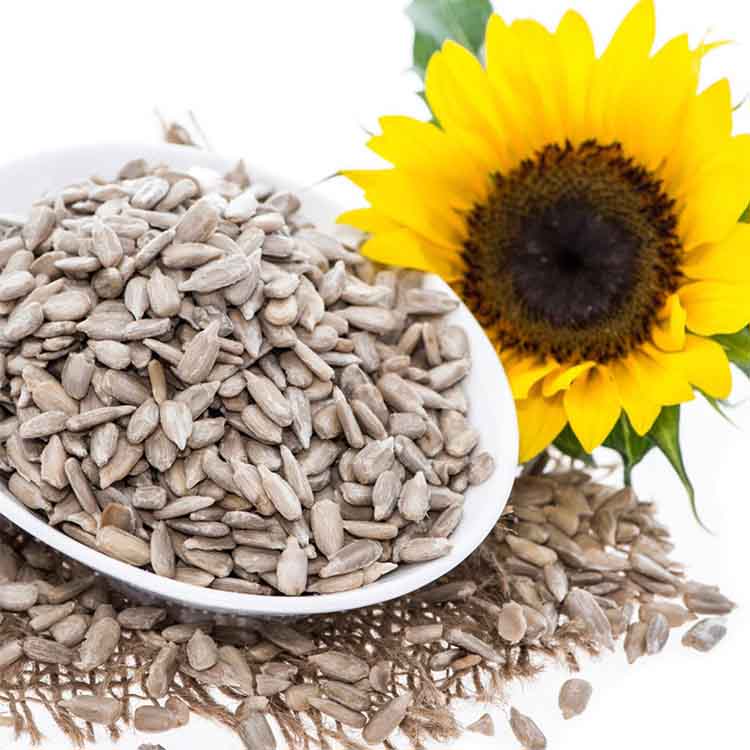 Sunflower Seeds/ Surajmukhi Ke Beej 100gm