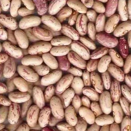 Rajma Chitra /Safed Rajma 1 Kg