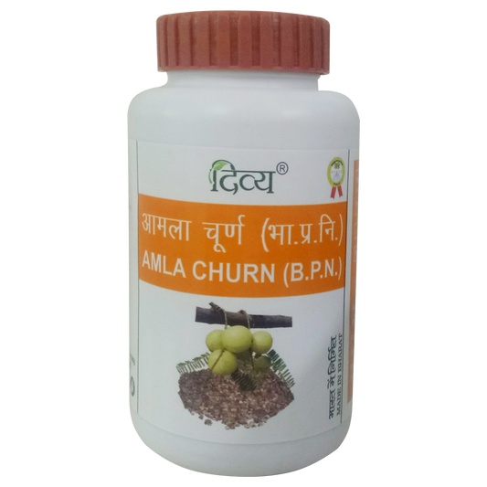 Patanjali Amla Churn 100g